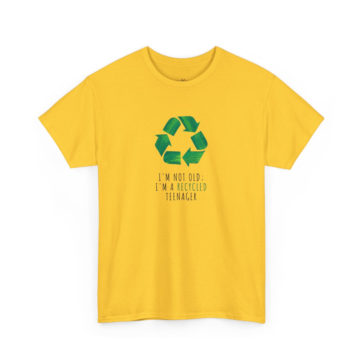 I'm Not Old; I'm A Recycled Teenager