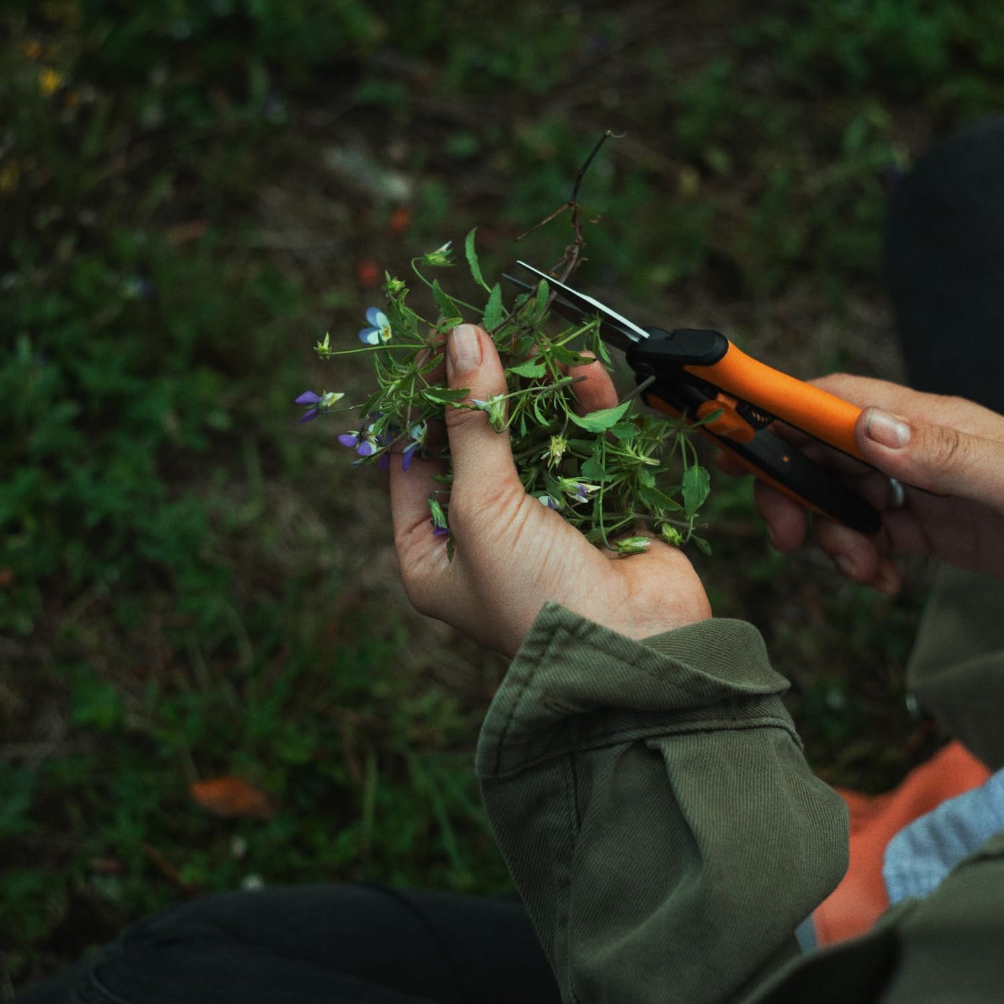 Fiskars 6" Pruning Scissors for Flower Stems, Herbs, Buds, and Small Plants