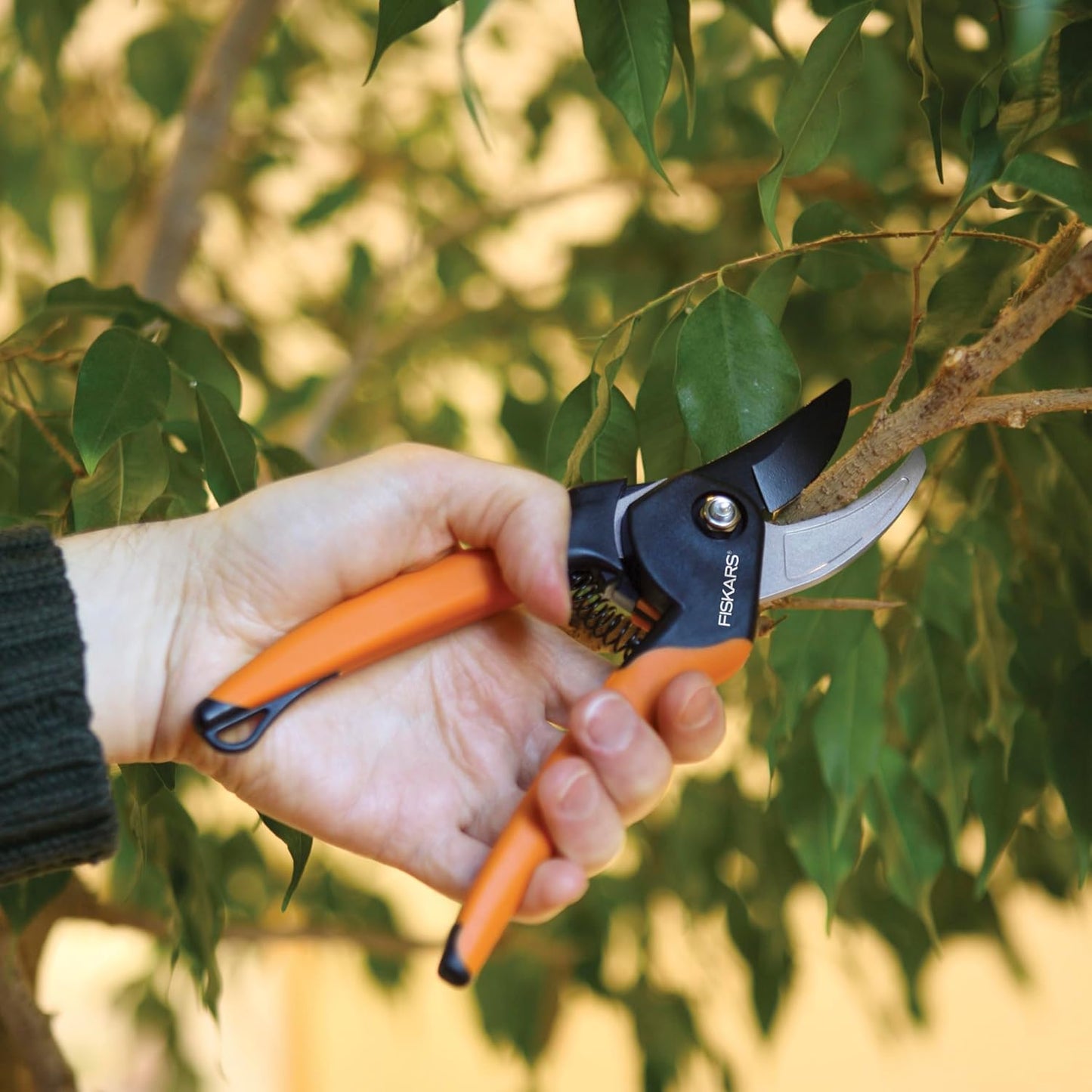 Fiskars Bypass Pruning Shears, 5/8-Inch Cut Capacity