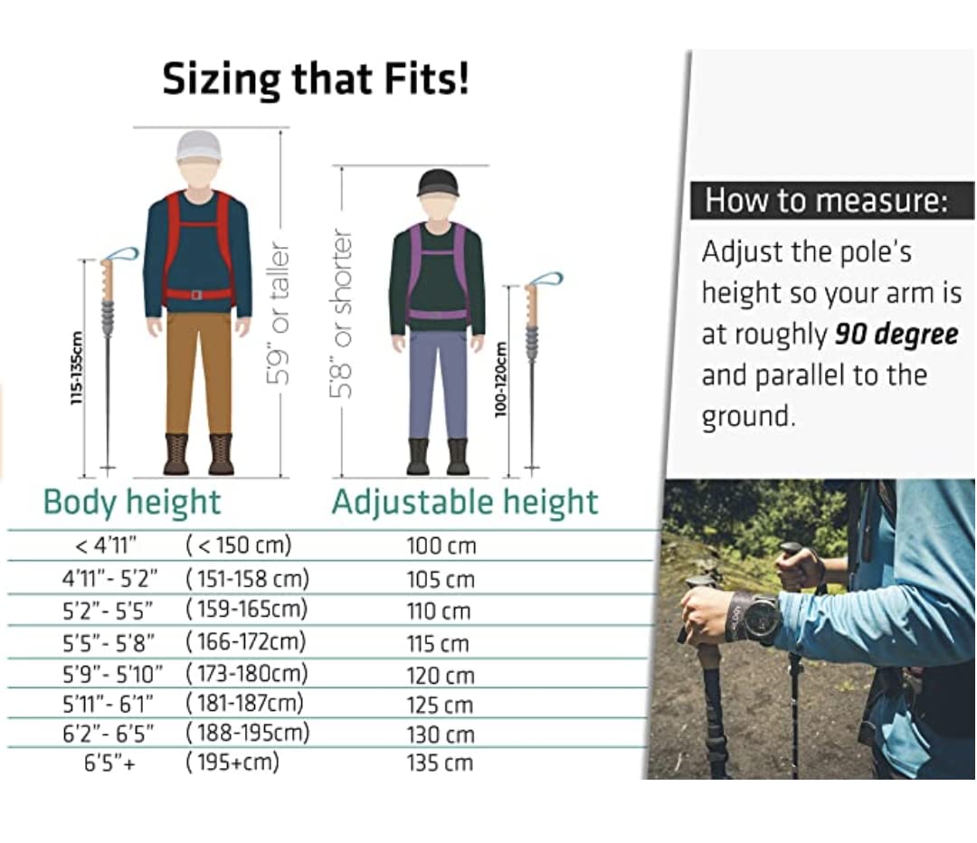 Trekology Trek-Z Collapsible Hiking & Trekking Poles - Balance Support for Seniors